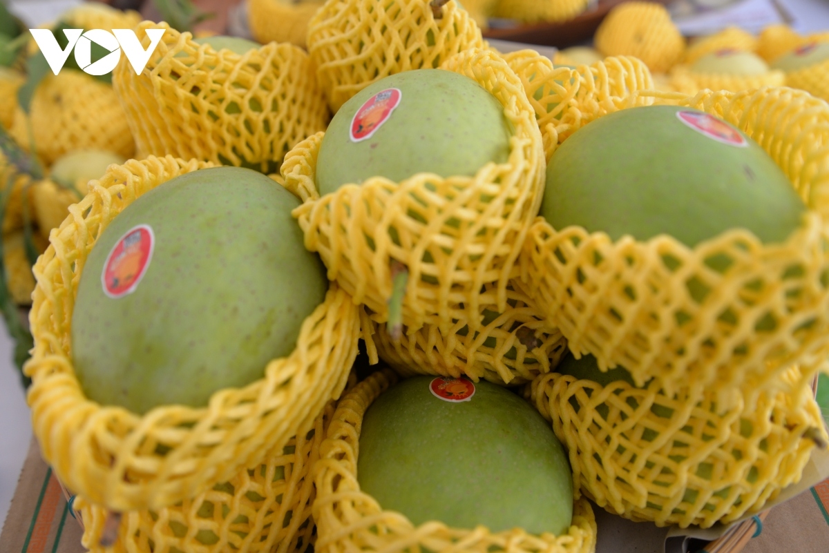 global market share of vietnamese mangoes remains modest picture 1