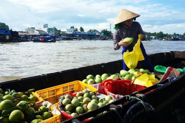 fruit islands in mekong delta to explore picture 1