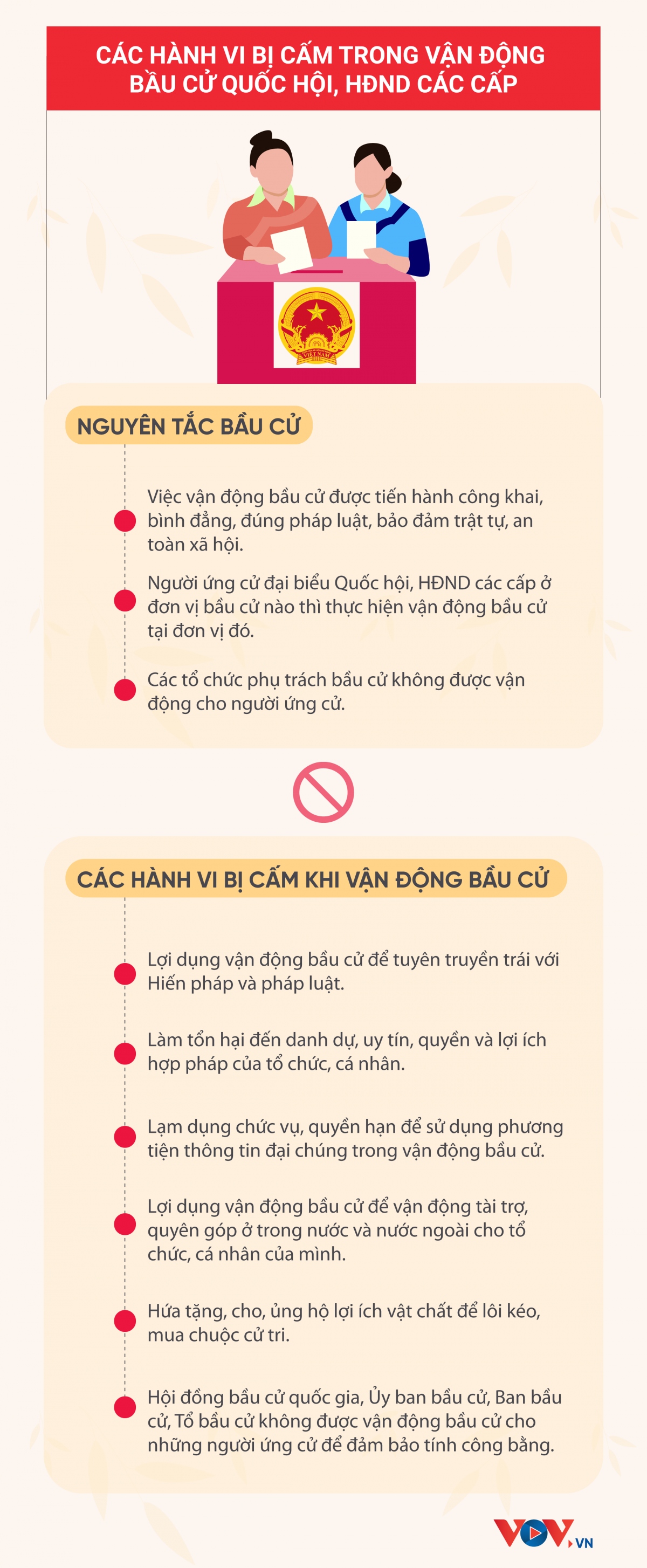 cac hanh vi bi cam trong van dong bau cu quoc hoi, hDnd hinh anh 1