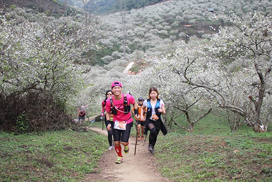 Vietnam Trail Marathon attracts 4,300 runners