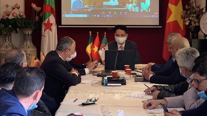 algeria, senegal, vietnam explore stronger trade and investment ties picture 1