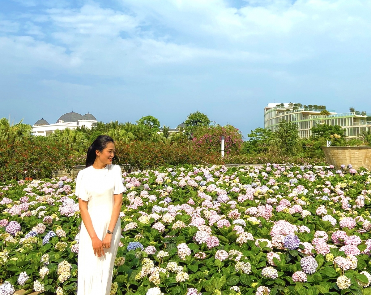 flower festival becomes popular check-in spot in april picture 3