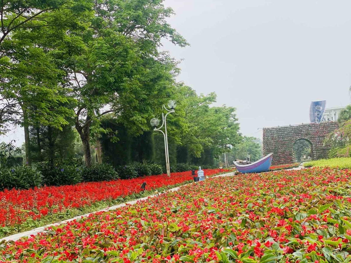 flower festival becomes popular check-in spot in april picture 8