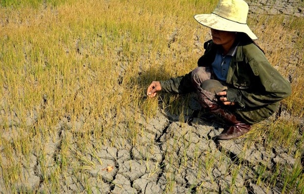 vietnam promotes gender mainstreaming in climate change policies picture 1