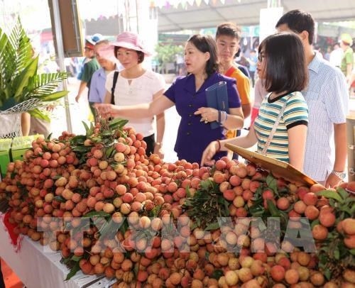 gi registration boosts exports of vietnamese products ministry picture 1