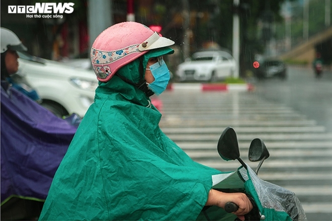 heavy downpours cause severe traffic jams and fallen trees around hanoi picture 5