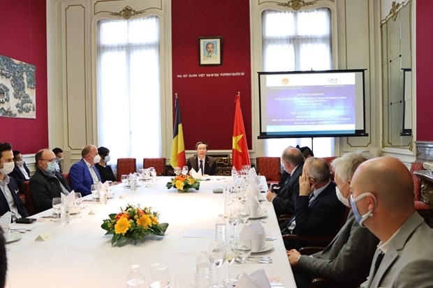belgium, vietnam see growing multifaceted cooperation belgian politician picture 1