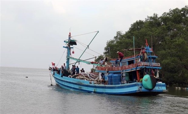 kien giang making every effort to fight iuu fishing picture 1