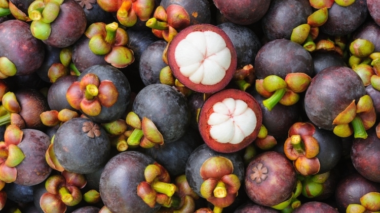 russia increases mango, guava, and mangosteen imports from vietnam picture 1