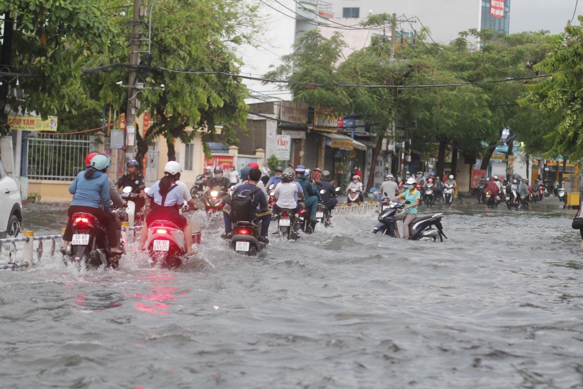 nhieu cay do, duong ngap sau con mua luc rang sang o tphcm hinh anh 4