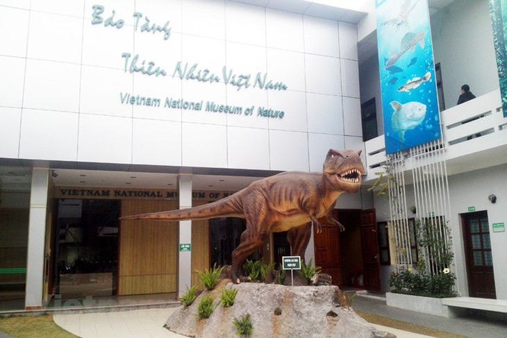vietnam national museum of nature - ideal destination for nature lovers and researchers picture 1