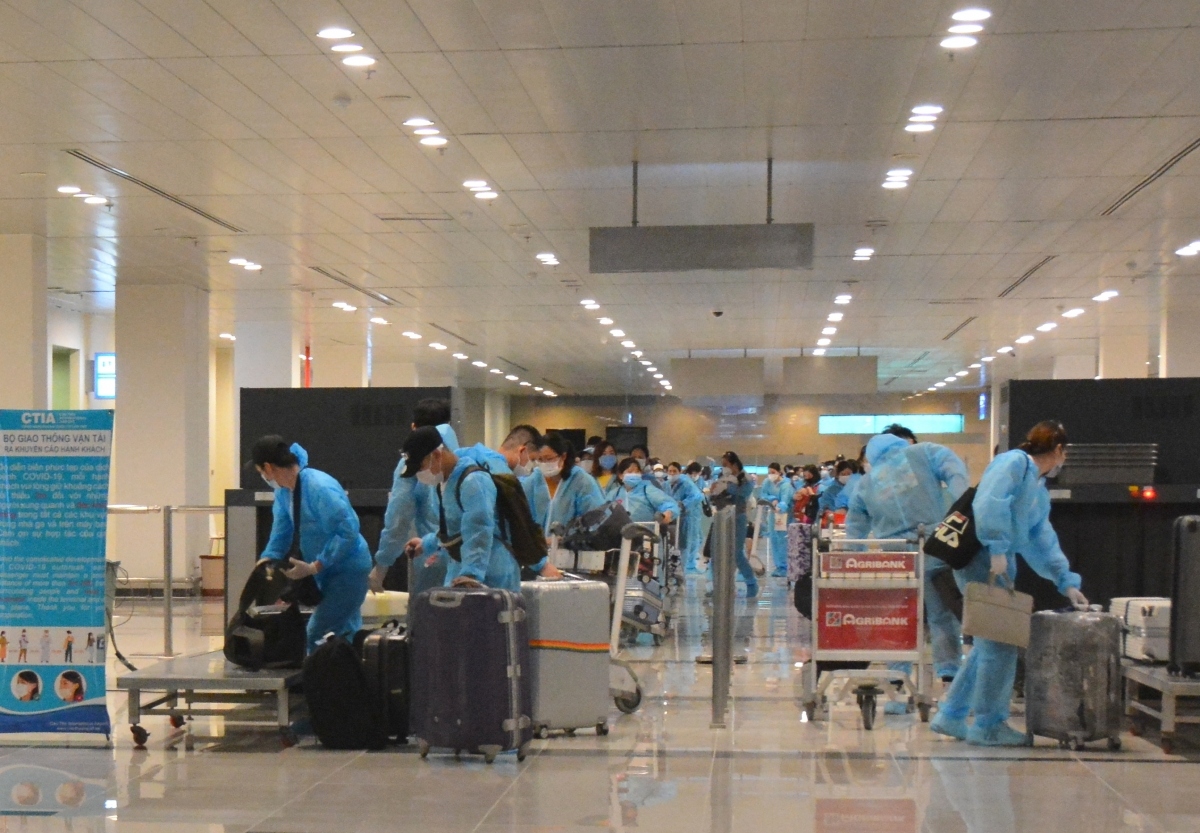 426 vietnamese citizens safely repatriated from rok picture 1