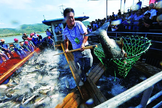 trung quoc day manh phuong phap nuoi trong thuy san than thien moi truong hinh anh 1