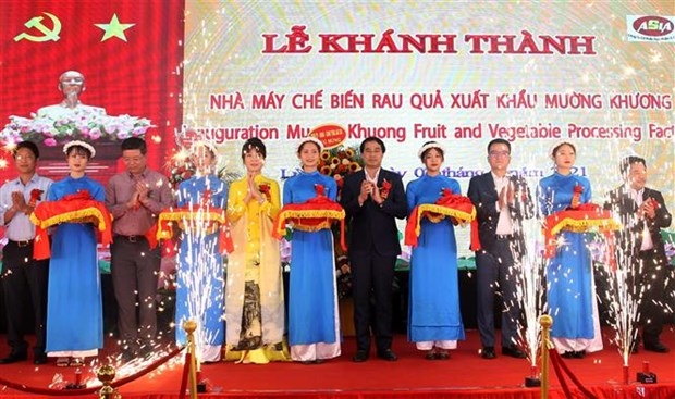 large farm produce processing factory inaugurated in lao cai picture 1