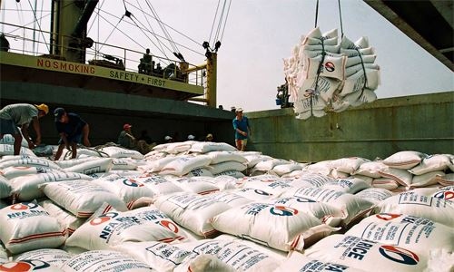 vietnamese rice export prices fall to lowest level over five month-period picture 1
