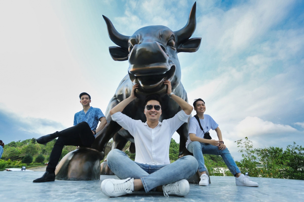 can canh thien duong hoa ruc ro tren doi cao khien du khach me man tai ha long hinh anh 13