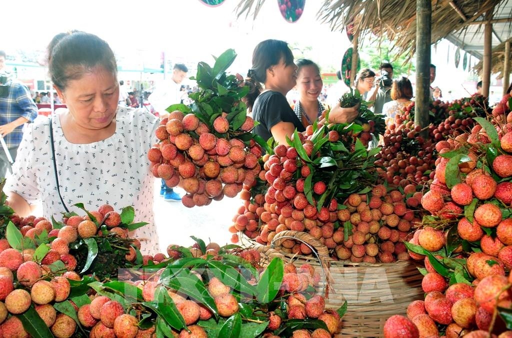 bo cong thuong yeu cau tao thuan loi khi cap c o cho nong san xuat khau hinh anh 1