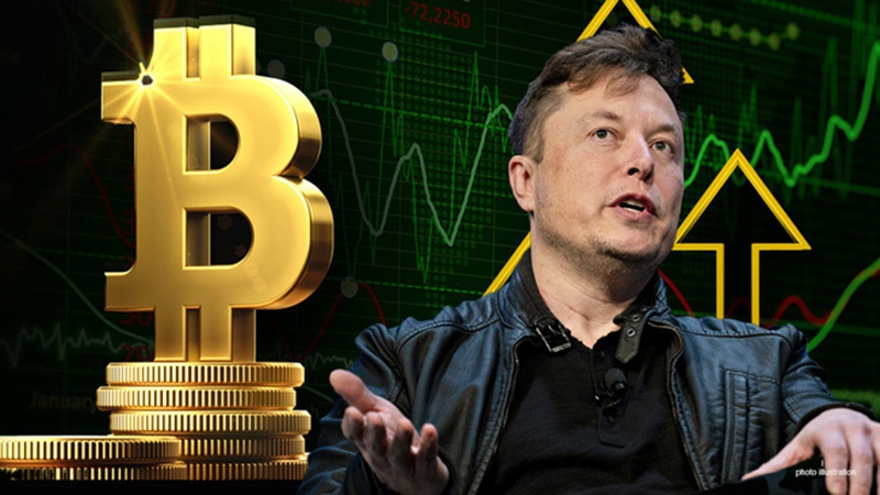 bitcoin lai sut giam manh vi tweet cua elon musk hinh anh 1