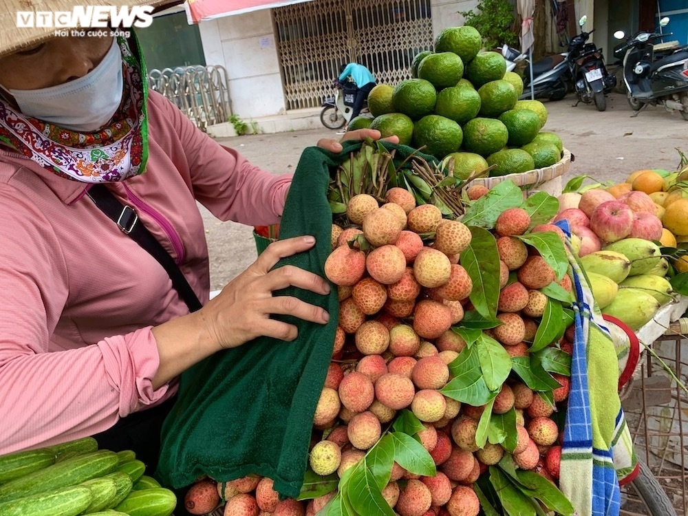 Chị Hòa (chợ Mai Động) cẩn thận bọc kín những quả vải tươi bằng khăn ướt để giữ chúng luôn tươi ngon.