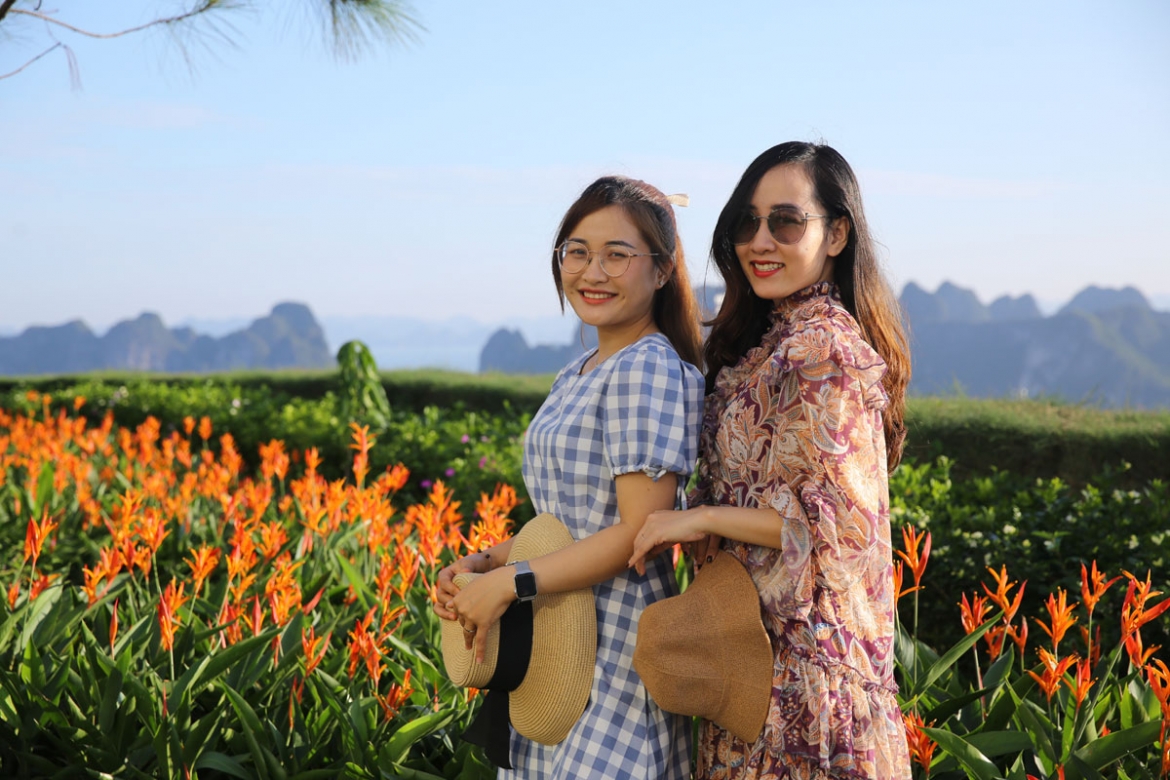 can canh thien duong hoa ruc ro tren doi cao khien du khach me man tai ha long hinh anh 7