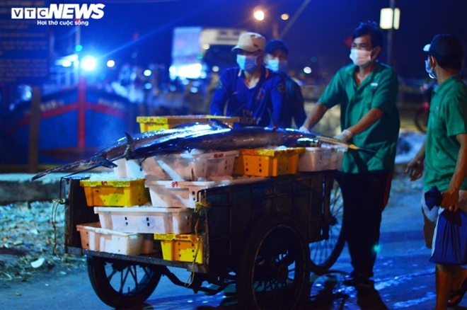 thousands at da nang fishing port undergo covid-19 testing overnight picture 6