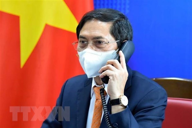 Foreign Minister Bui Thanh Son (Photo: VNA)