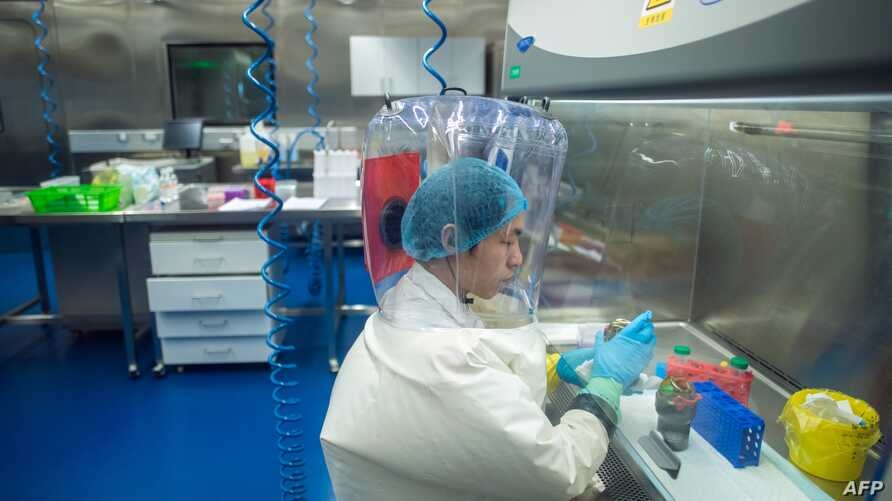 Một nhân viên làm việc tại phòng thí nghiệm của Viện Virus học Vũ Hán (Trung Quốc). Ảnh: AFP
