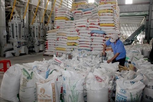 rice exporters urged to utilise ftas to boost declining shipments picture 1