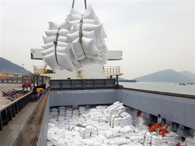 vietnamese rice exports to china skyrocket picture 1