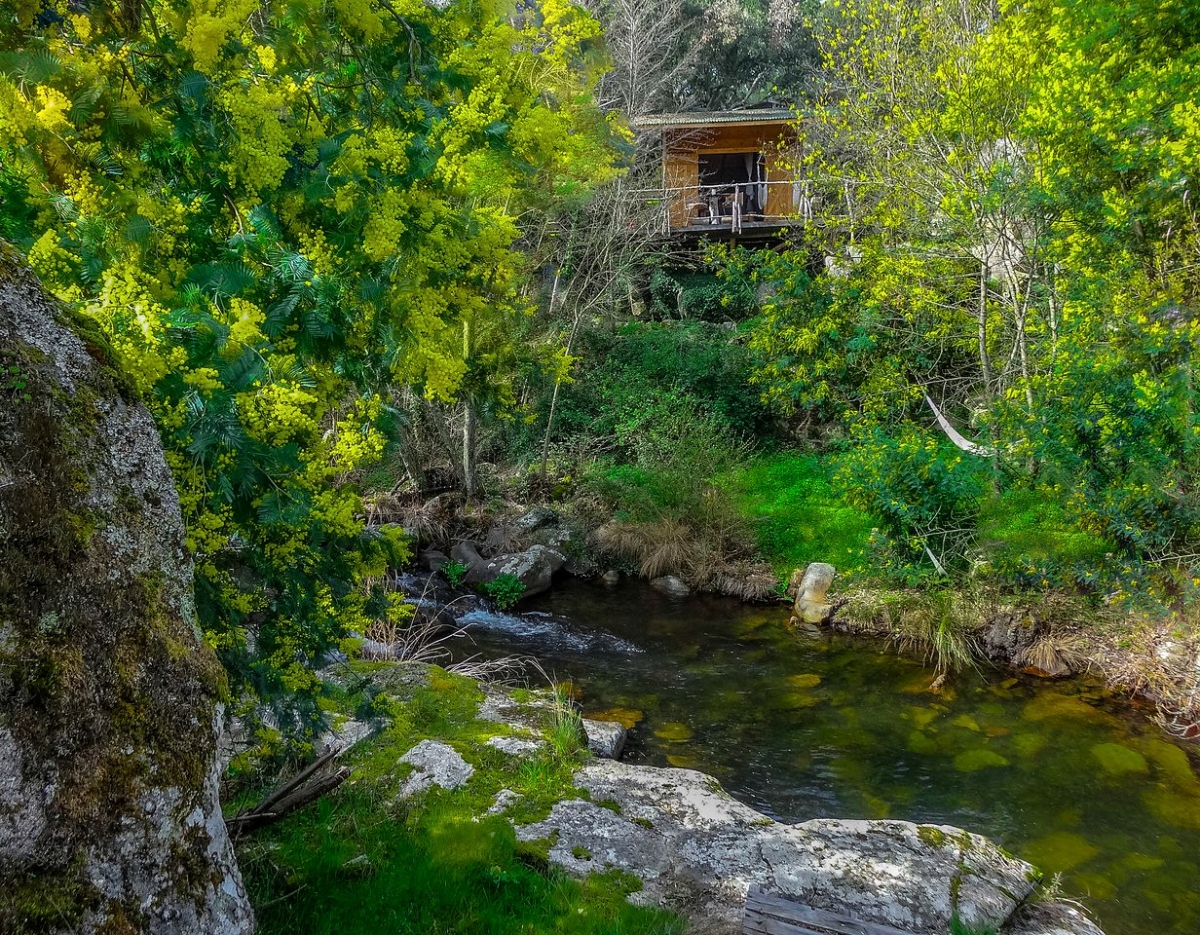 glamping - trao luu du lich xa xi moi tai chau Au hinh anh 4