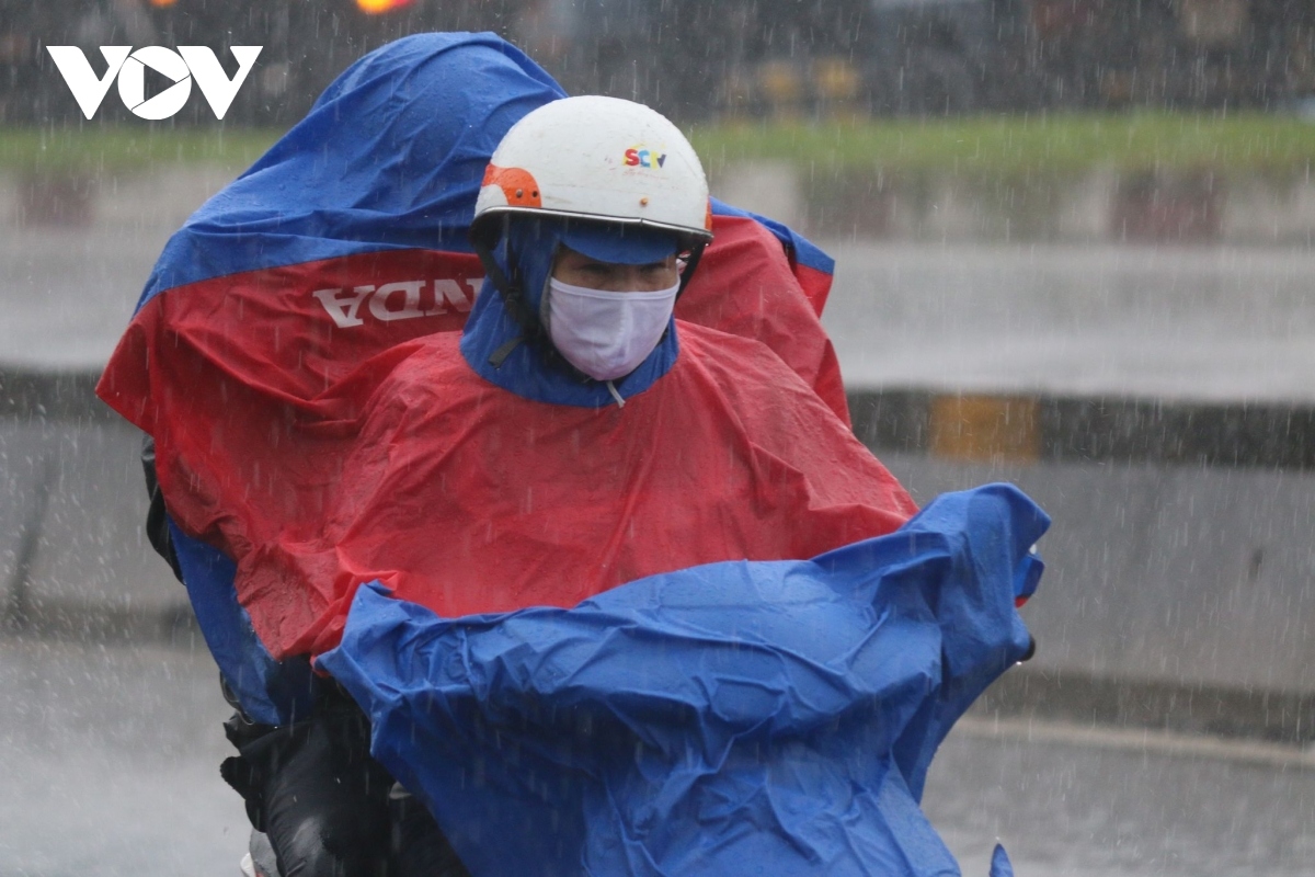 torrential rain disrupts daily life in hcm city picture 3