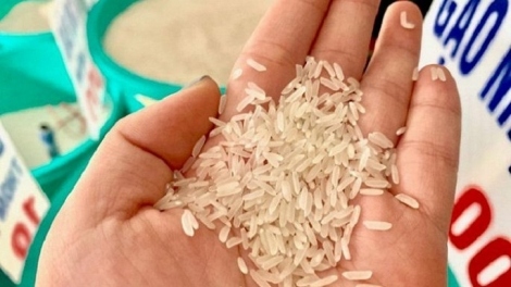 Giá gạo tăng 13,4% so với cùng kỳ năm 2020.