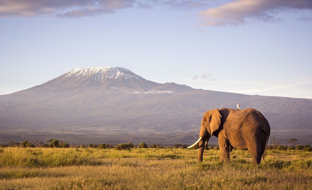 Núi Kilimanjaro được mệnh danh là "nóc nhà châu Phi". Nguồn: Getty Images