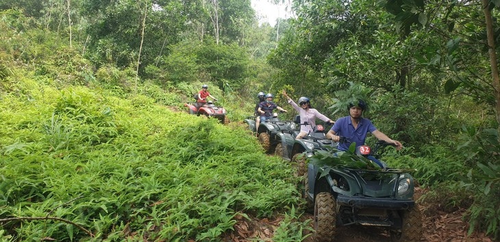driving all-terrain vehicles through the forests of dong mo picture 2