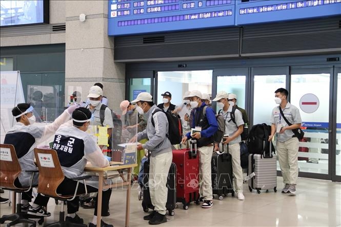 programme to send vietnamese workers to rok resumed picture 1