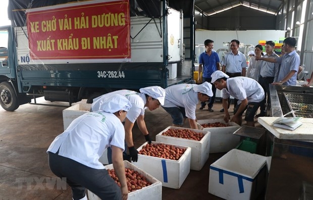 measures put in place to bolster agricultural product exports picture 1 measures put in place to bolster agricultural product exports picture 1