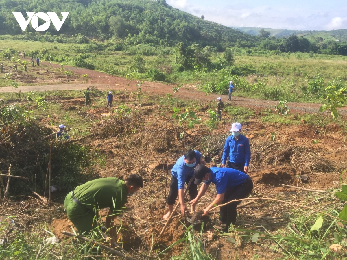 The administration of Dak Nong province holds a ceremony in Gia Nghia city on May 19 in order to call on local people to plant trees following Uncle Ho’s example. Roughly 51,000 trees are grown across the locality for this occasion.