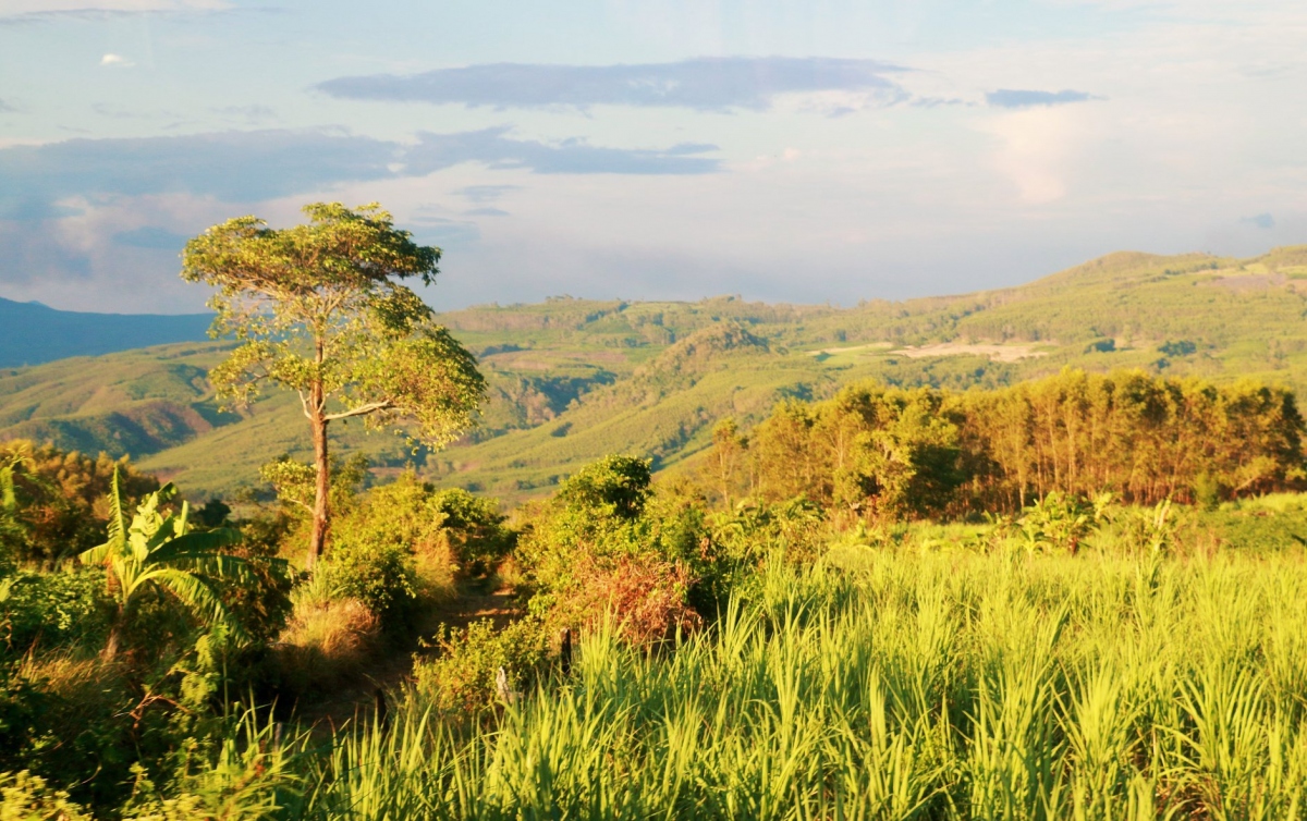 thuc day o mien nang dep phu yen hinh anh 11