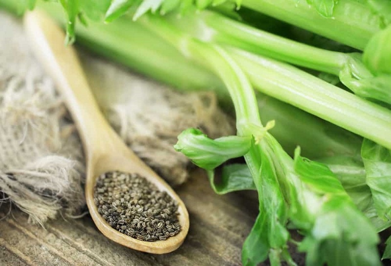 bộ ba thảo mộc hỗ trợ điều trị gout hình ảnh 1 bo ba thao moc ho tro dieu tri gout hinh anh 1