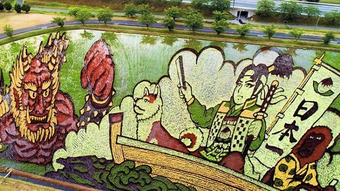 Cánh đồng lúa ở Nhật Bản trông giống như một tác phẩm nghệ thuật.