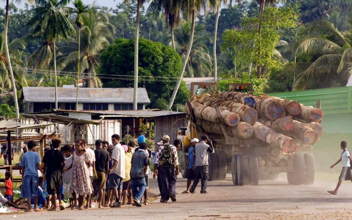 Xe tải chở gỗ xuất khẩu đi qua ngôi làng Vanimo ở Papua New Guinea. Ảnh: The Guardian