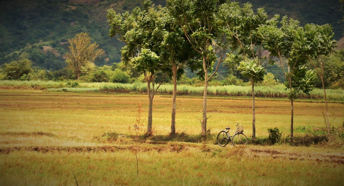 thuc day o mien nang dep phu yen hinh anh 4