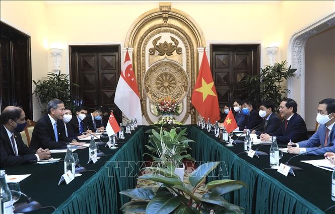 Bộ trưởng Bộ Ngoại giao Bùi Thanh Sơn hội đàm với Bộ trưởng Ngoại giao Singapore Vivian Balakrishnan. Ảnh: Lâm Khánh/TTXVN
