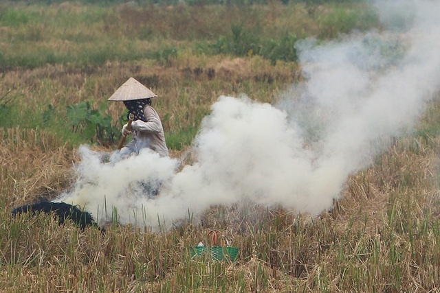 Hanoi capital sees air pollution worsen as residents burn straw