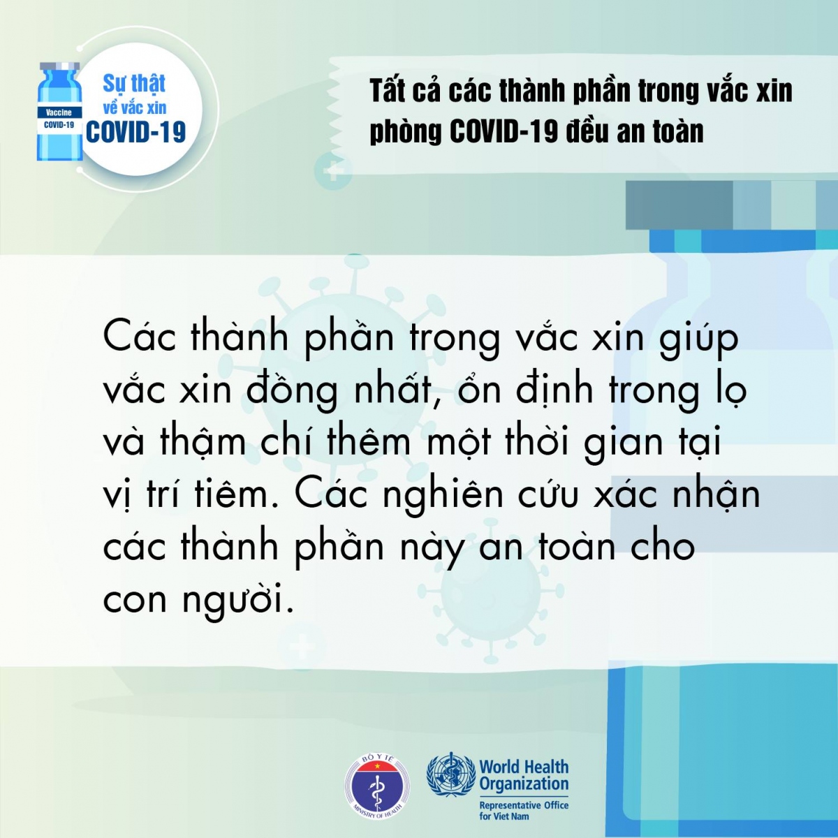 who giai ma nhung thac mac ve vaccine covid-19 hinh anh 6