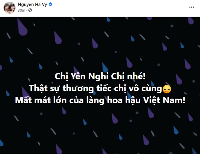 dan nghe si viet bang hoang, xot xa khi hoa hau nguyen thu thuy dot ngot qua doi hinh anh 8