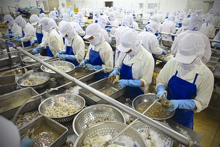 Shrimp exports to the US market enjoy robust growth 