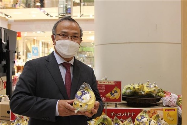 vietnamese bananas gain a foothold in japanese market picture 1 vietnamese bananas gain a foothold in japanese market picture 1
