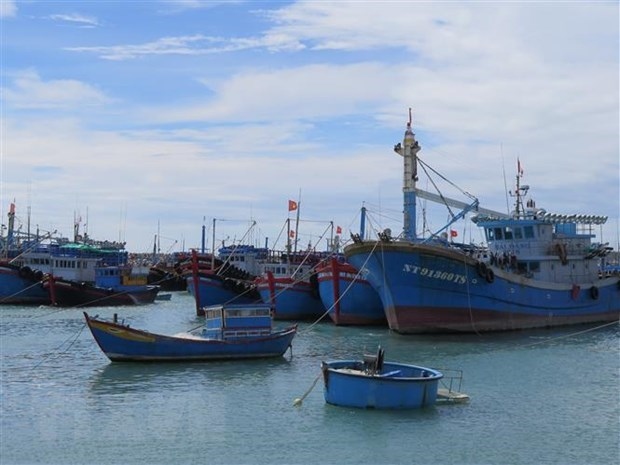 organisations, individuals involved in iuu fishing to be punished strictly picture 1