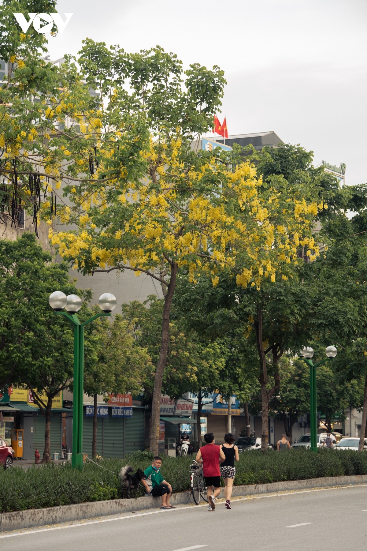 muong hoang yen shows off beauty in hanoi picture 3